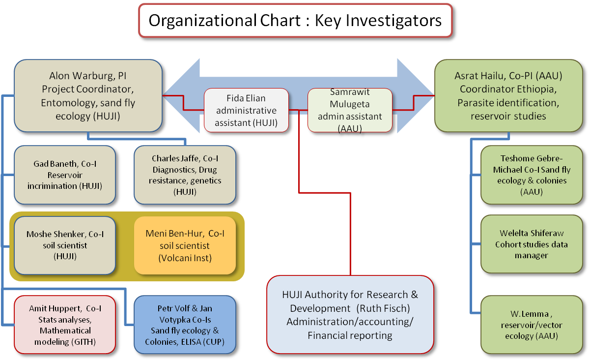 Organizational Chart